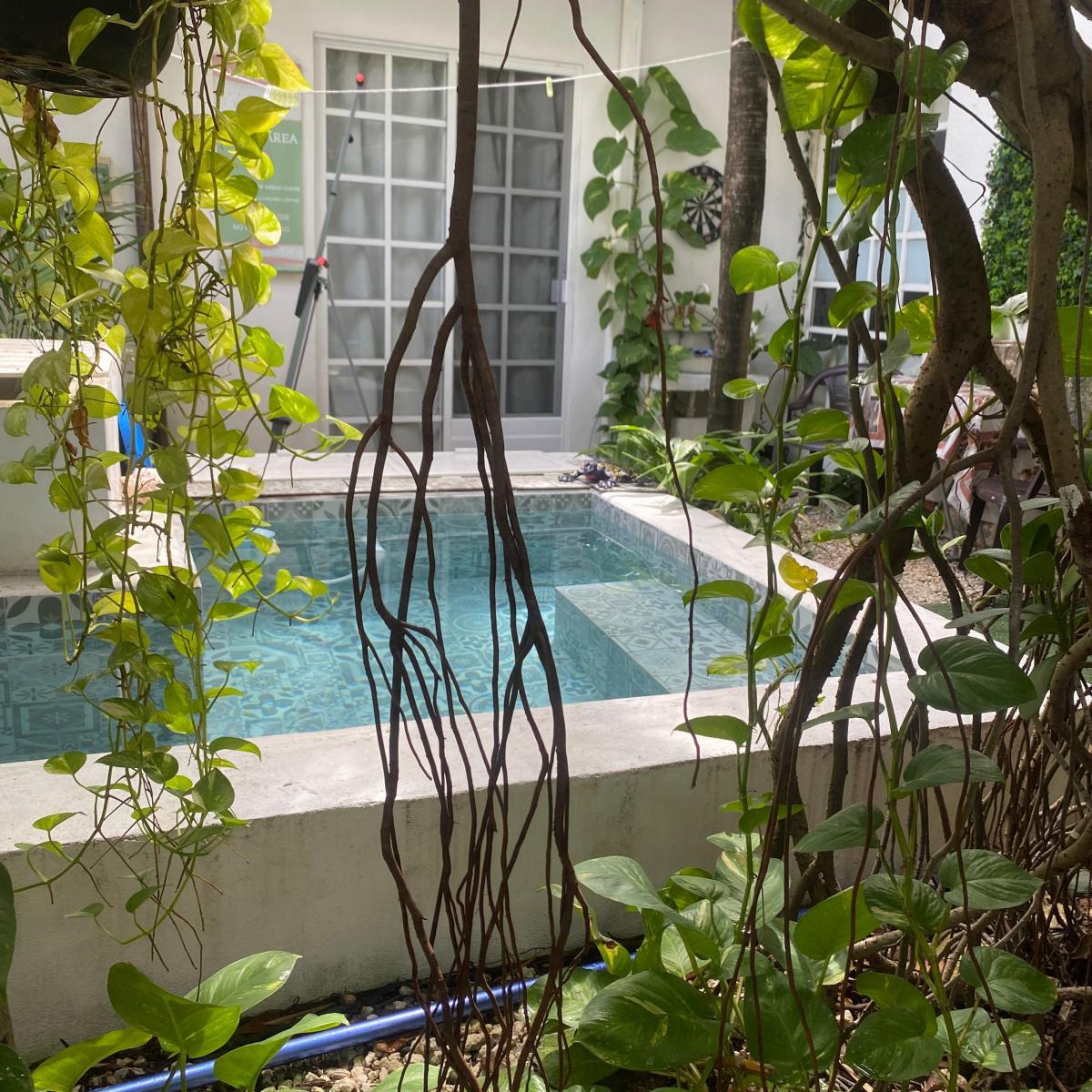 Playa del Carmen, Solidaridad